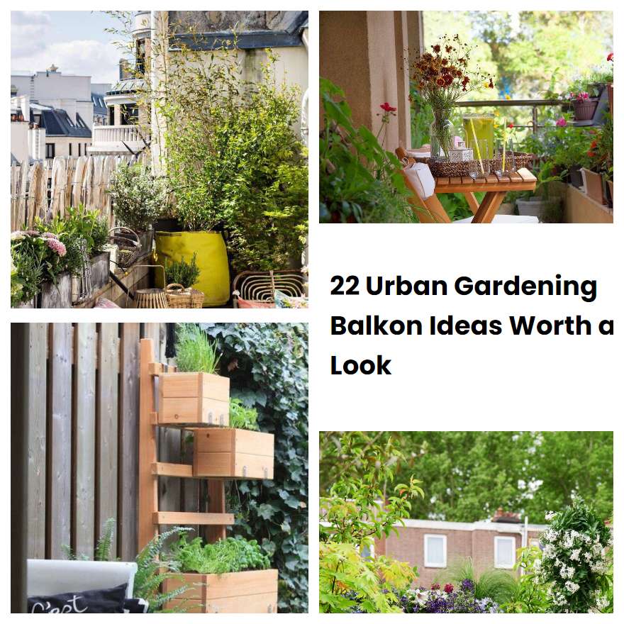 22 Urban Gardening Balkon Ideas Worth a Look