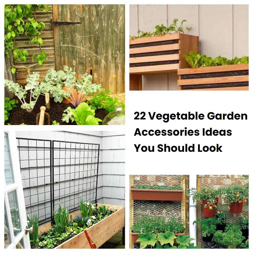 22 Vegetable Garden Accessories Ideas You Should Look SharonSable