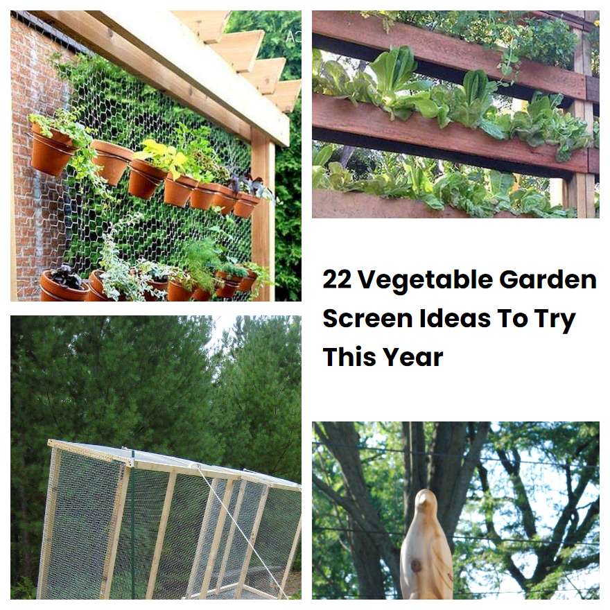 22 Vegetable Garden Screen Ideas To Try This Year SharonSable