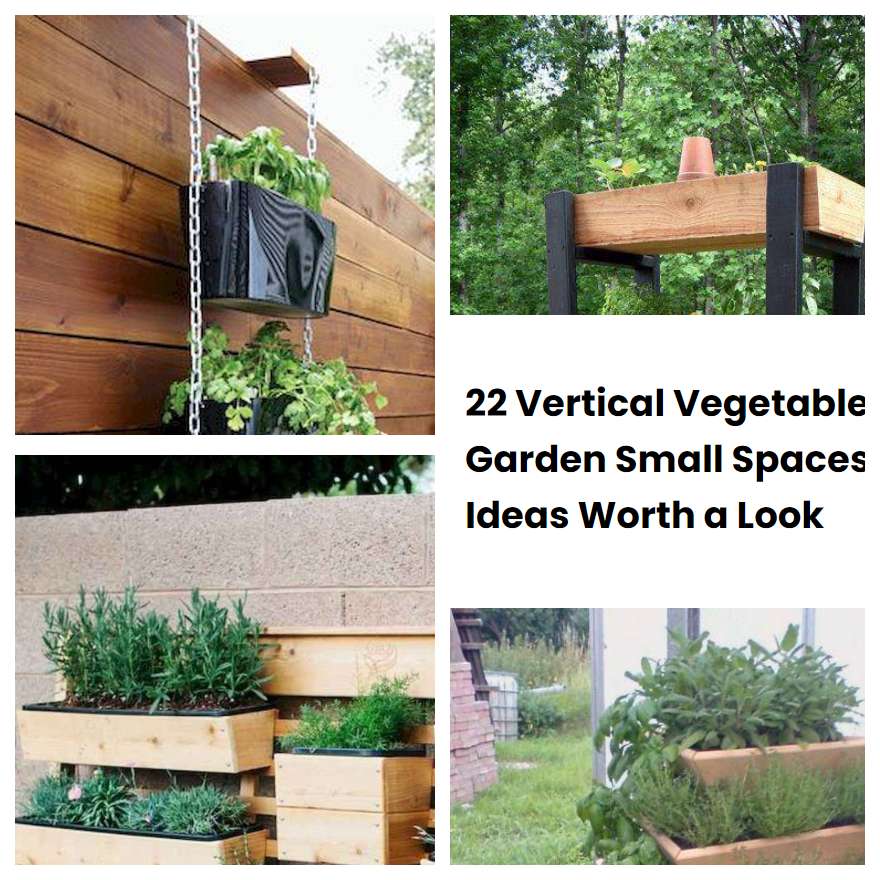 22 Vertical Vegetable Garden Small Spaces Ideas Worth a Look
