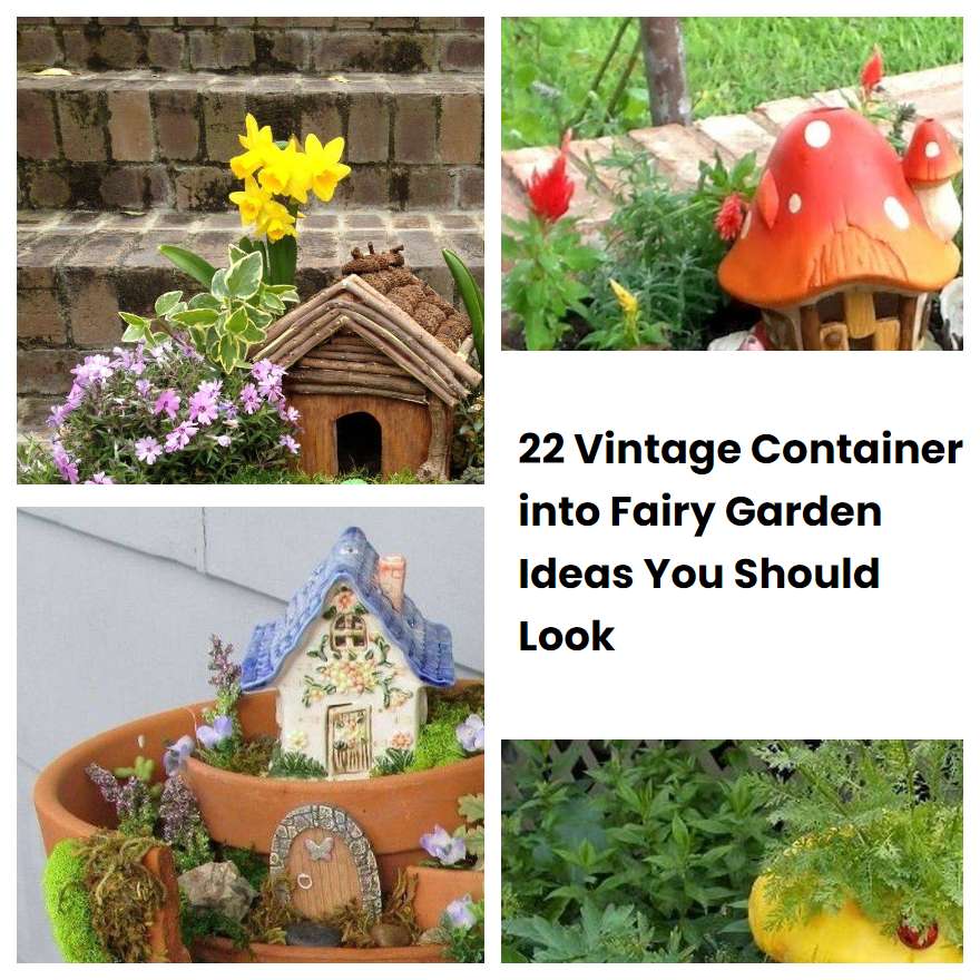 22 Vintage Container into Fairy Garden Ideas You Should Look
