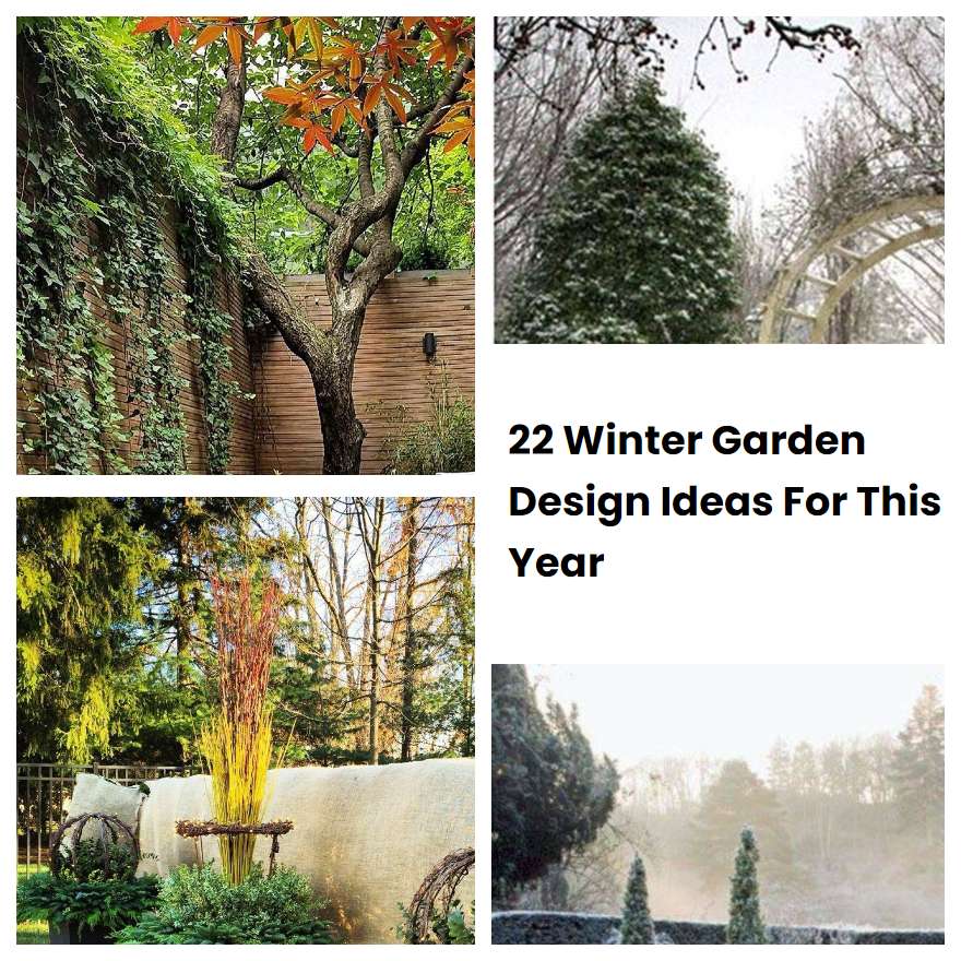 22 Winter Garden Design Ideas For This Year