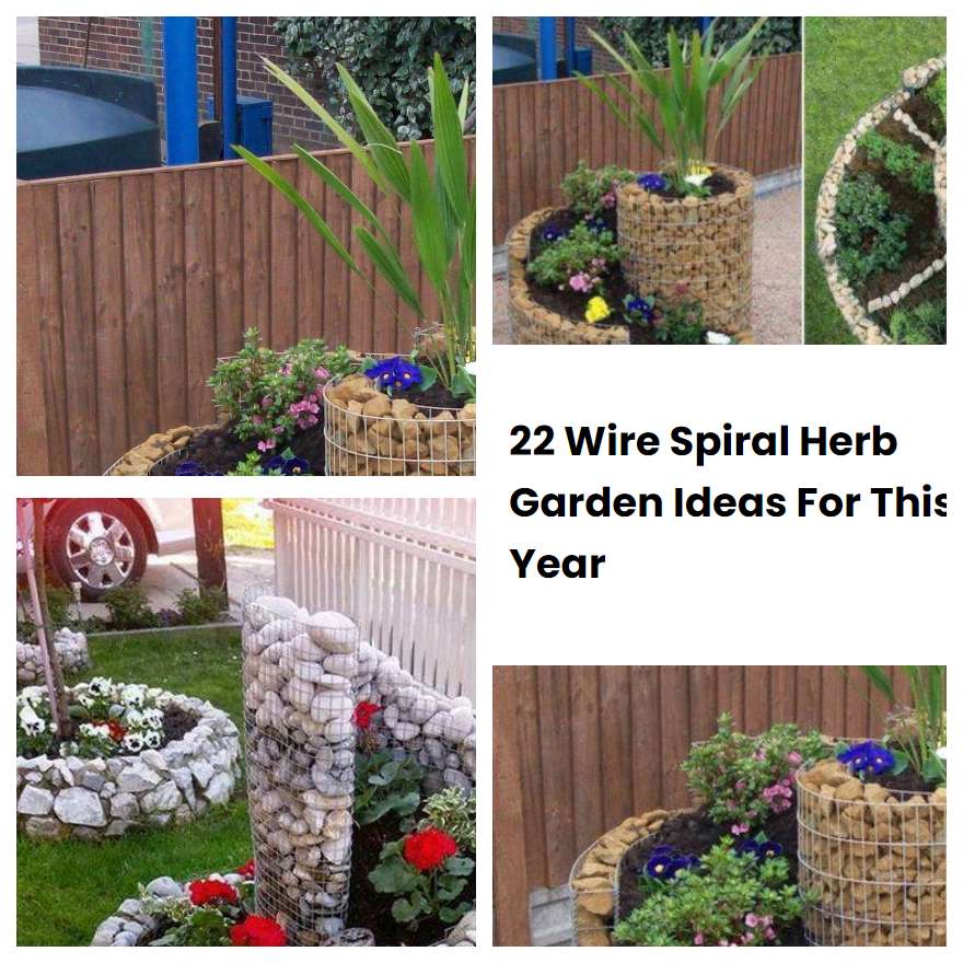 22 Wire Spiral Herb Garden Ideas For This Year