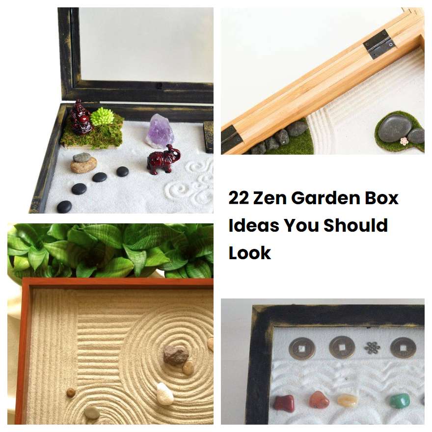 22 Zen Garden Box Ideas You Should Look SharonSable