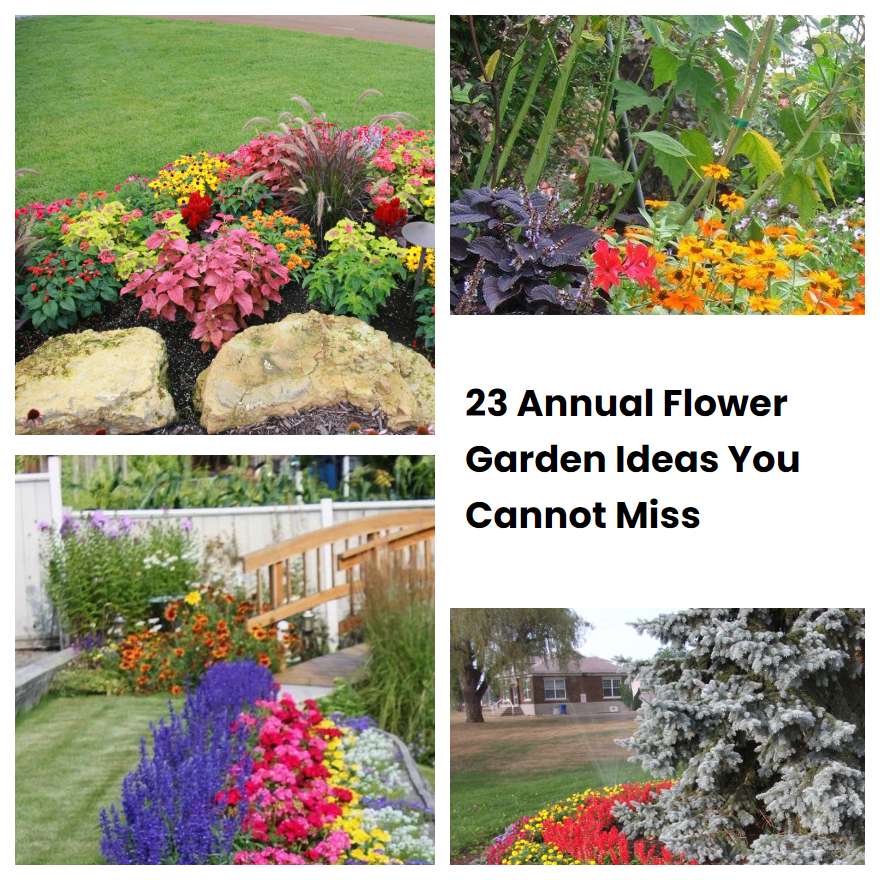 23 Annual Flower Garden Ideas You Cannot Miss