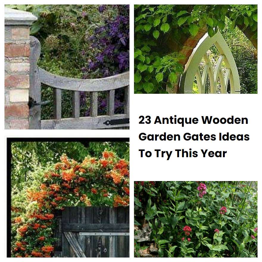 23 Antique Wooden Garden Gates Ideas To Try This Year
