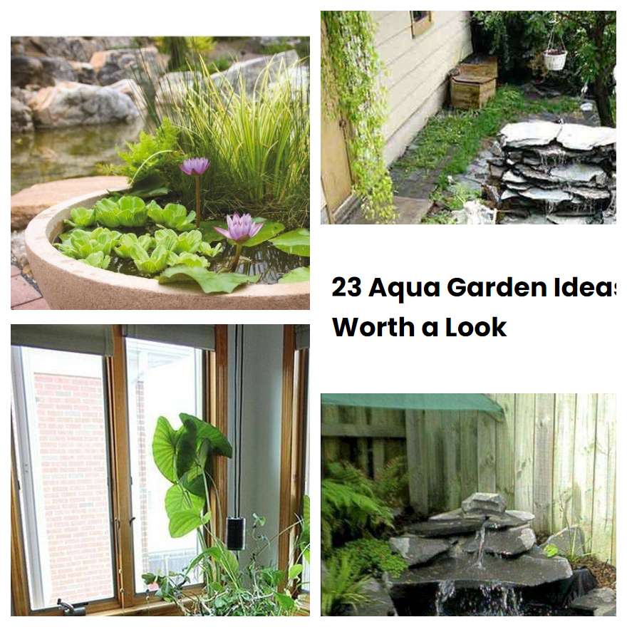 23 Aqua Garden Ideas Worth a Look