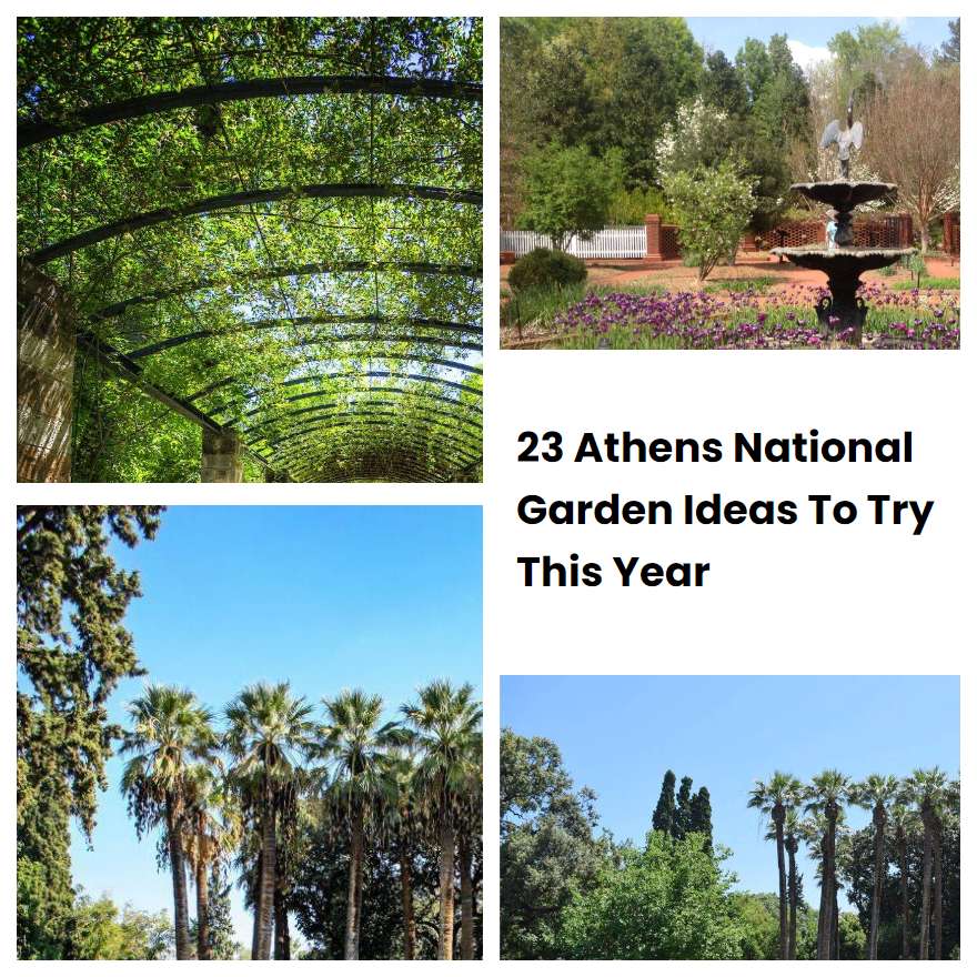 23 Athens National Garden Ideas To Try This Year