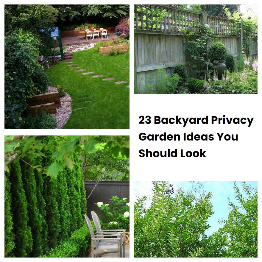 23 Backyard Privacy Garden Ideas You Should Look