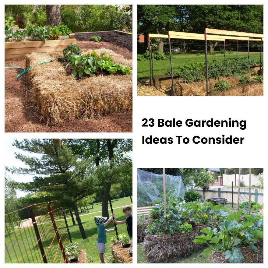 23 Bale Gardening Ideas To Consider