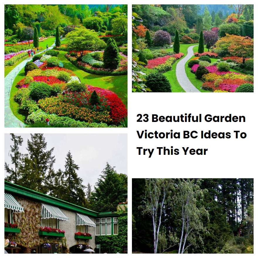 23 Beautiful Garden Victoria BC Ideas To Try This Year SharonSable