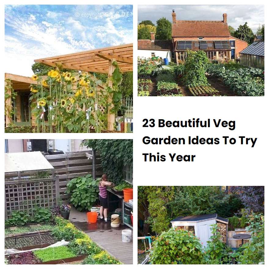 23 Beautiful Veg Garden Ideas To Try This Year