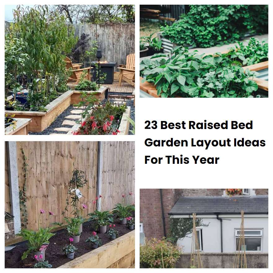 23 Best Raised Bed Garden Layout Ideas For This Year