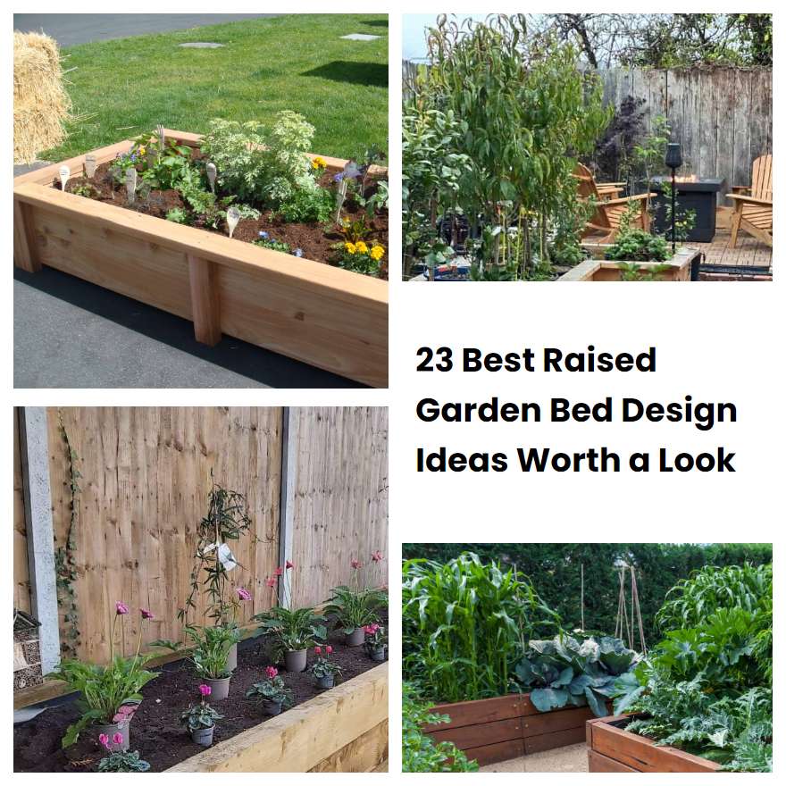 23 Best Raised Garden Bed Design Ideas Worth a Look