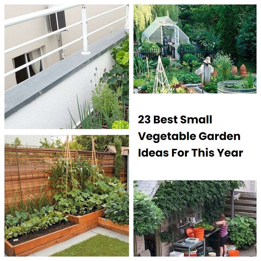 23 Best Small Vegetable Garden Ideas For This Year SharonSable