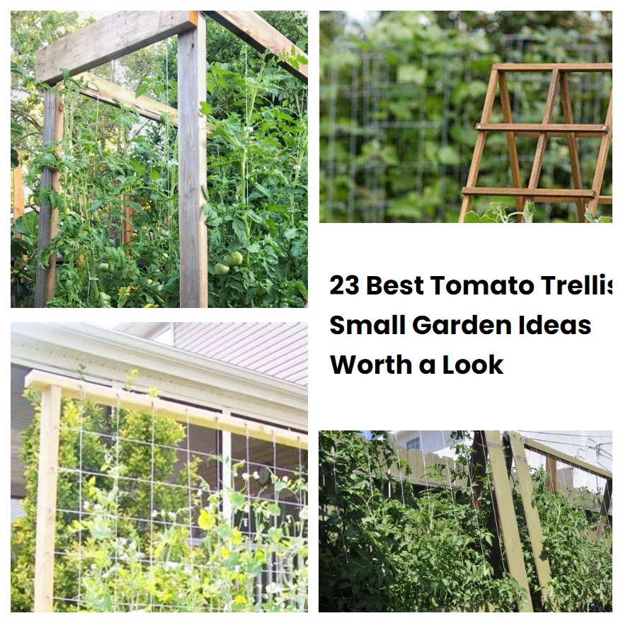 23 Best Tomato Trellis Small Garden Ideas Worth a Look