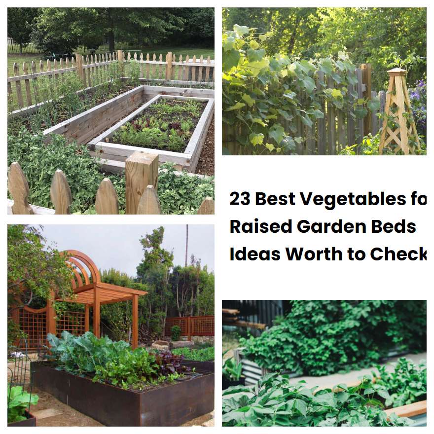 23 Best Vegetables for Raised Garden Beds Ideas Worth to Check