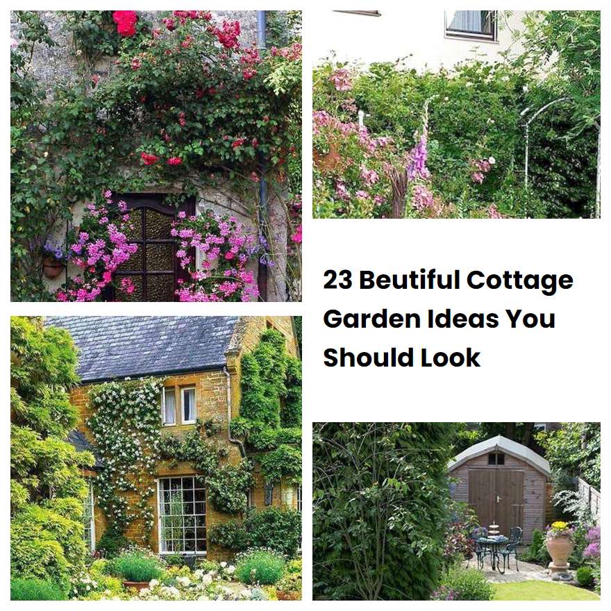 23 Beutiful Cottage Garden Ideas You Should Look
