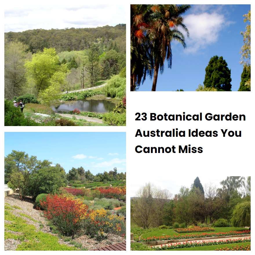 23 Botanical Garden Australia Ideas You Cannot Miss