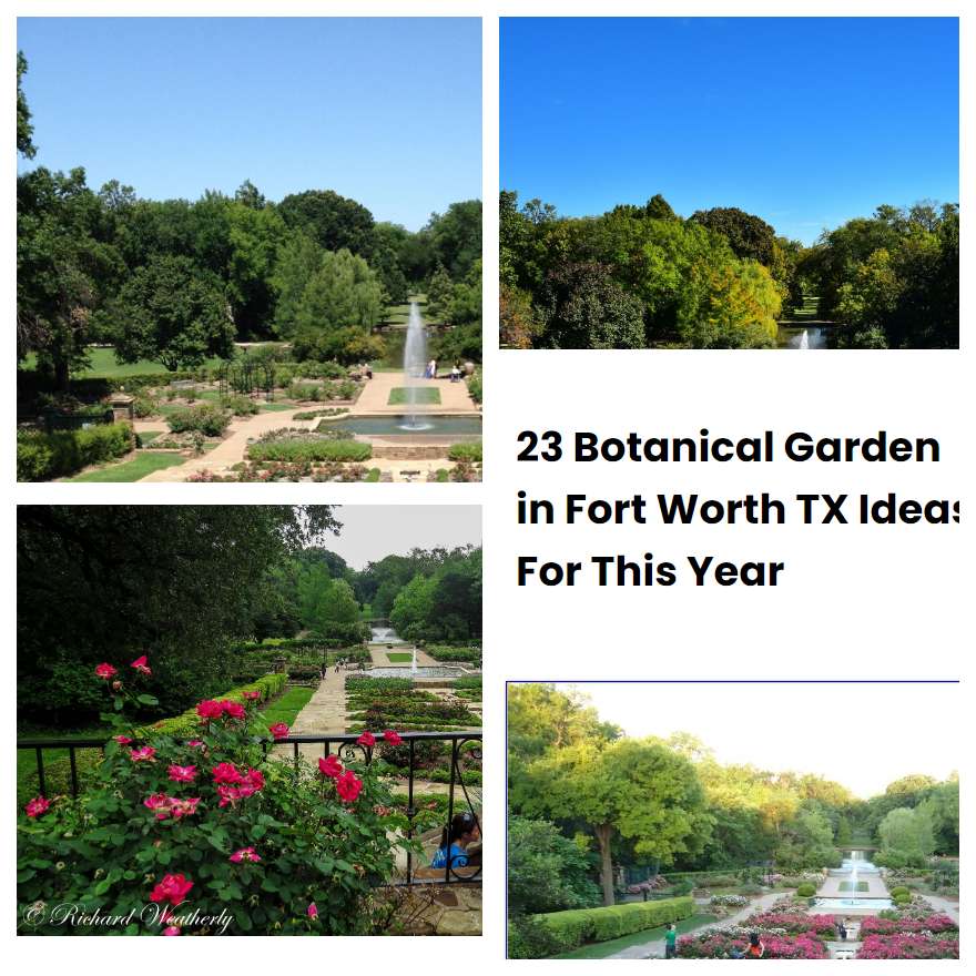 23 Botanical Garden in Fort Worth TX Ideas For This Year
