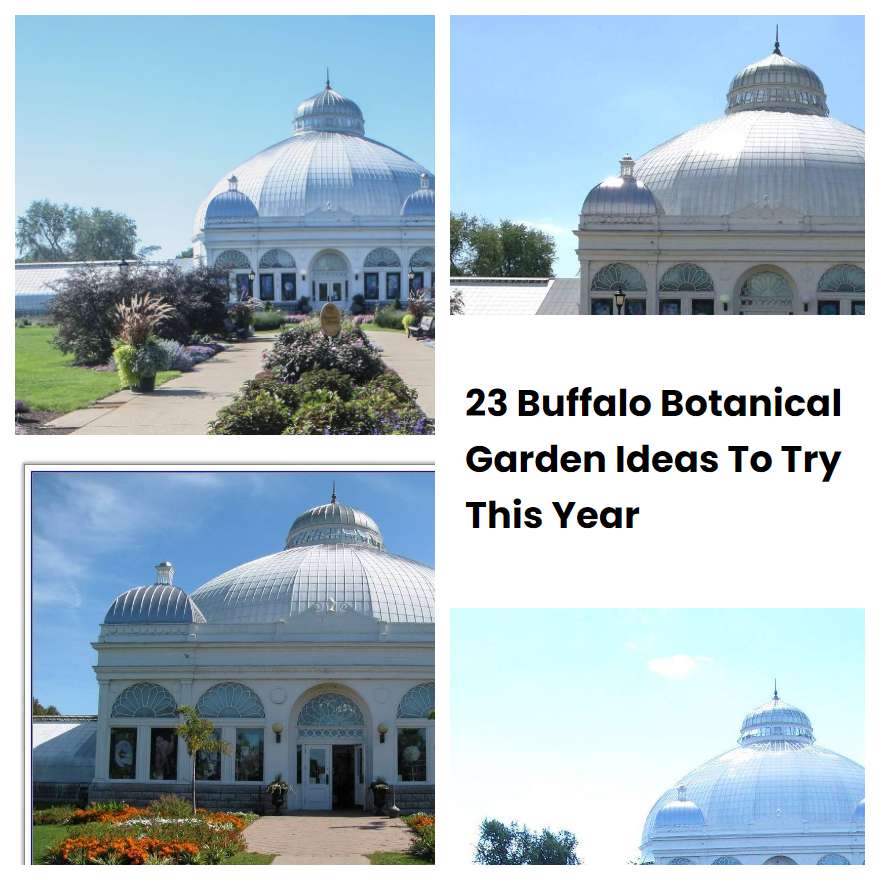 23 Buffalo Botanical Garden Ideas To Try This Year