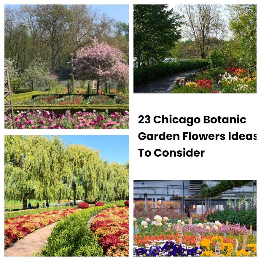 23 Chicago Botanic Garden Flowers Ideas To Consider