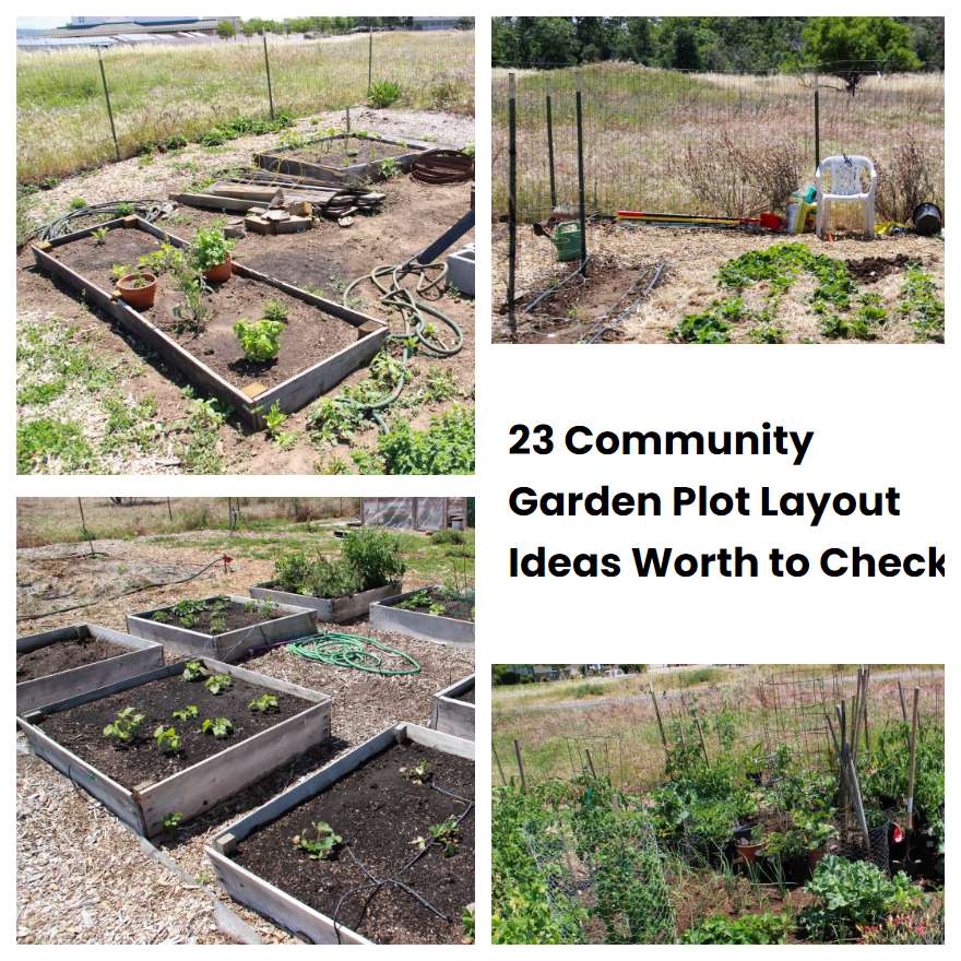 23 Community Garden Plot Layout Ideas Worth to Check SharonSable