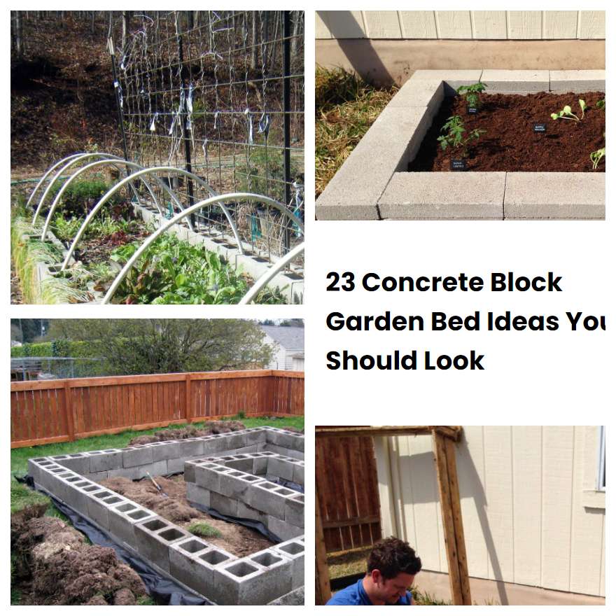 23 Concrete Block Garden Bed Ideas You Should Look SharonSable