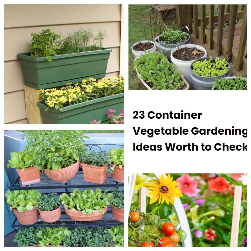 23 Container Vegetable Gardening Ideas Worth to Check SharonSable