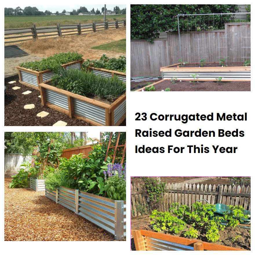23 Corrugated Metal Raised Garden Beds Ideas For This Year