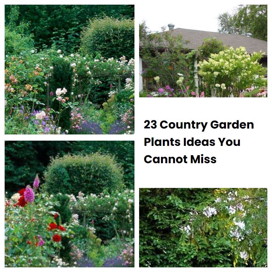 23 Country Garden Plants Ideas You Cannot Miss SharonSable