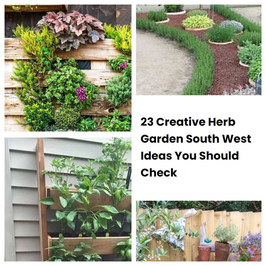 23 Creative Herb Garden South West Ideas You Should Check