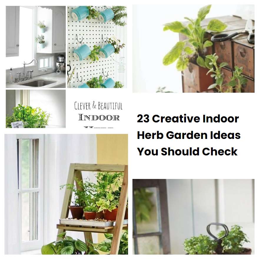 23 Creative Indoor Herb Garden Ideas You Should Check