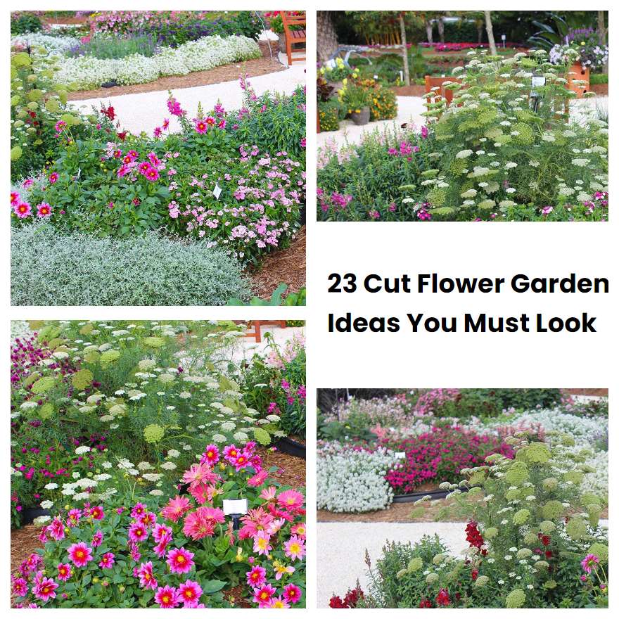 23 Cut Flower Garden Ideas You Must Look SharonSable
