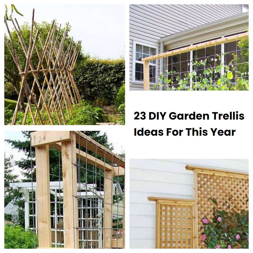 23 DIY Garden Trellis Ideas For This Year