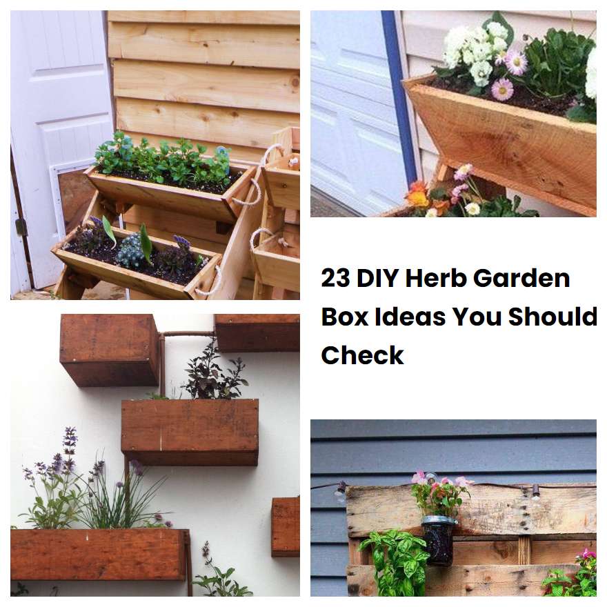 23 DIY Herb Garden Box Ideas You Should Check