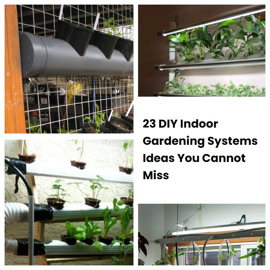 23 DIY Indoor Gardening Systems Ideas You Cannot Miss SharonSable
