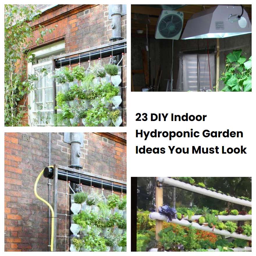 23 DIY Indoor Hydroponic Garden Ideas You Must Look