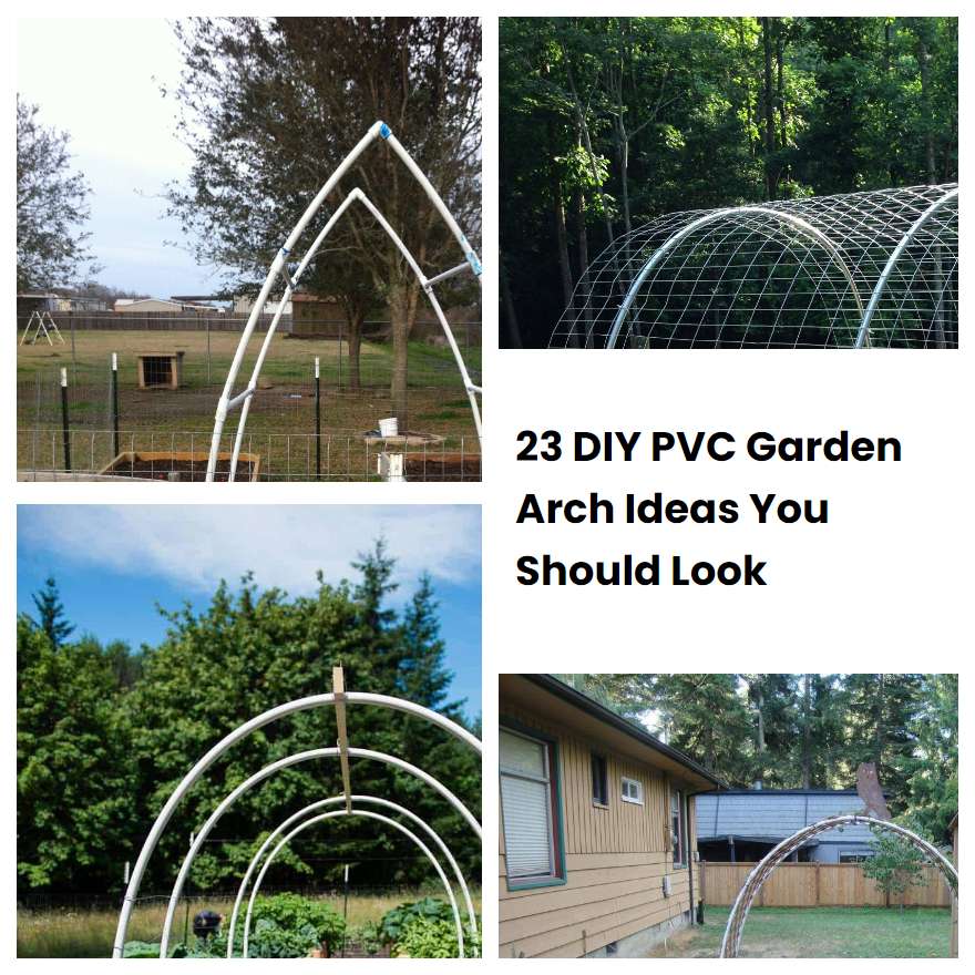 23 DIY PVC Garden Arch Ideas You Should Look SharonSable
