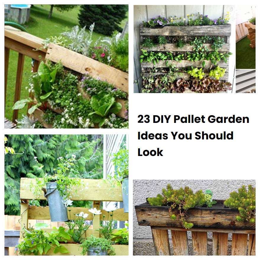 23 DIY Pallet Garden Ideas You Should Look SharonSable