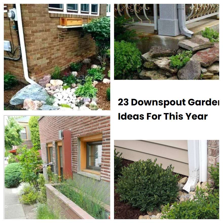 23 Downspout Garden Ideas For This Year