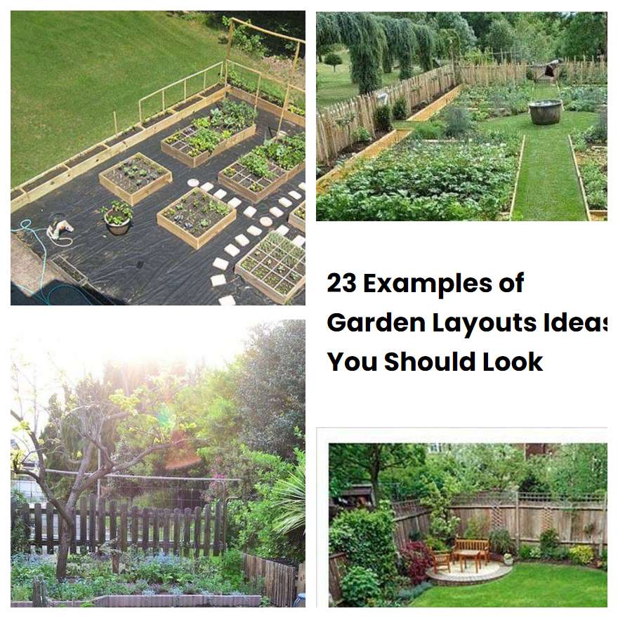 23 Examples of Garden Layouts Ideas You Should Look SharonSable