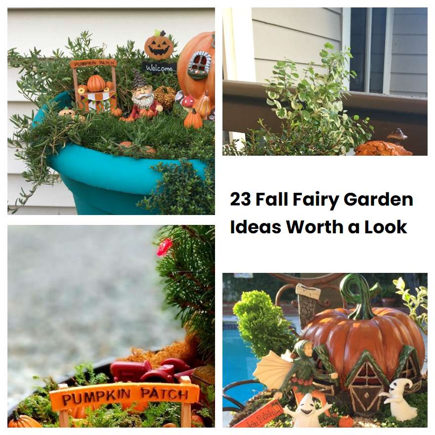 23 Fall Fairy Garden Ideas Worth a Look SharonSable