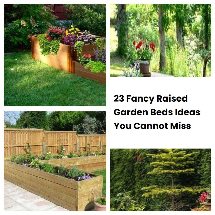 23 Fancy Raised Garden Beds Ideas You Cannot Miss