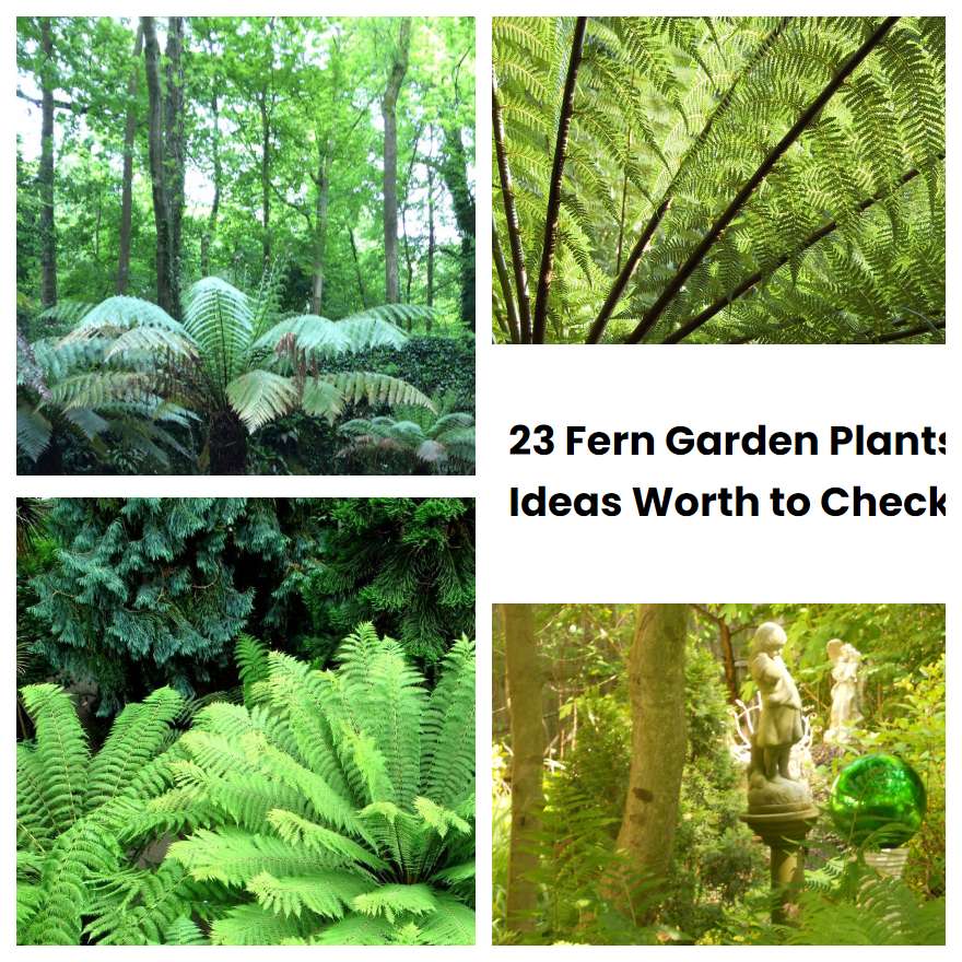 23 Fern Garden Plants Ideas Worth to Check