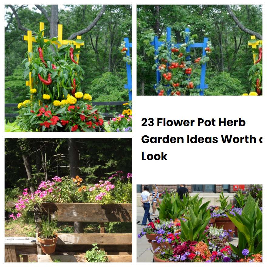 23 Flower Pot Herb Garden Ideas Worth a Look