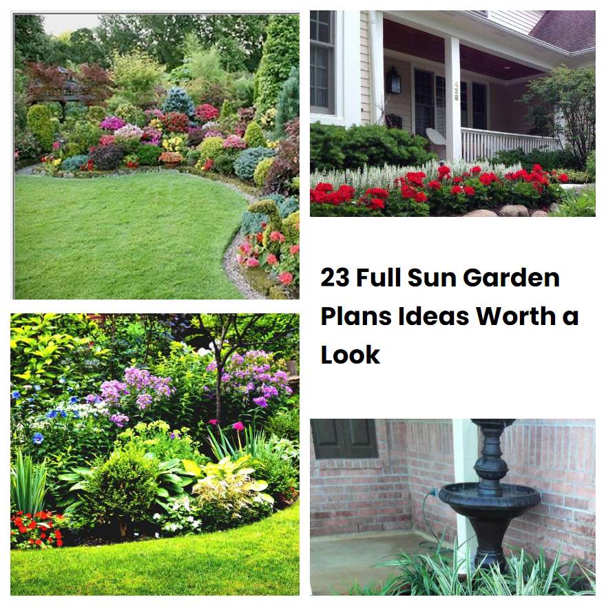 23 Full Sun Garden Plans Ideas Worth a Look SharonSable