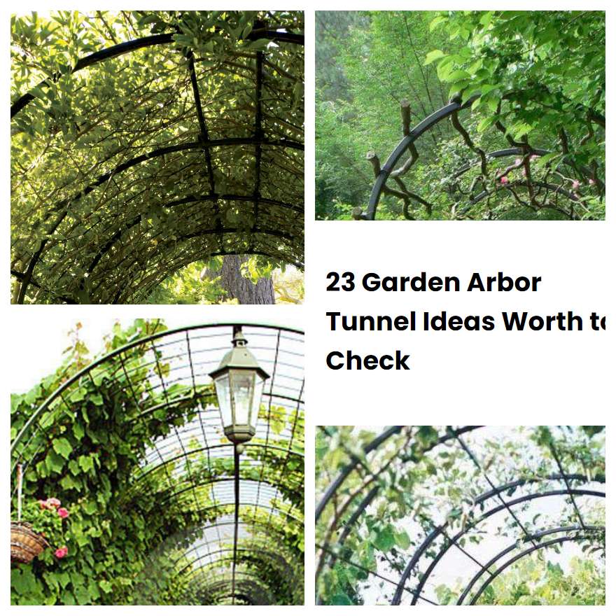 23 Garden Arbor Tunnel Ideas Worth to Check SharonSable