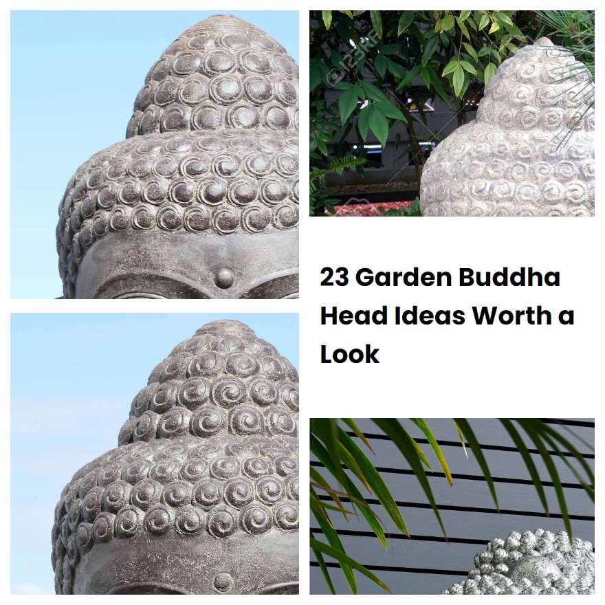 23 Garden Buddha Head Ideas Worth a Look