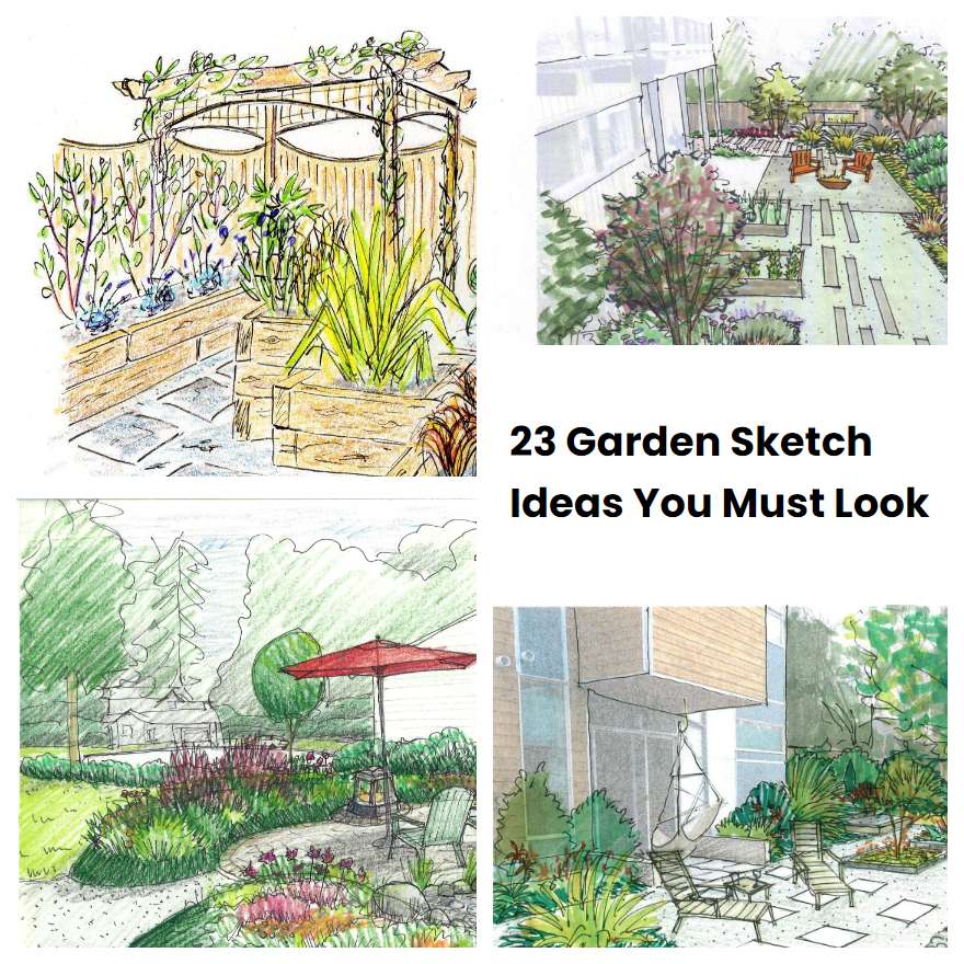 23 Garden Sketch Ideas You Must Look